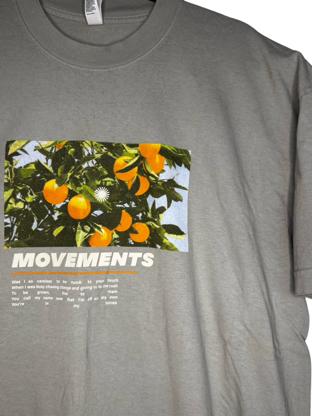 Movements - “Santiago Peak” single promo band T-shirt (XL)